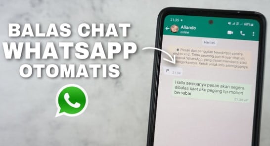 cara-membuat-whatsapp-auto-reply