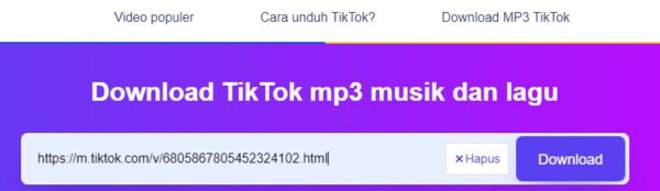 cara-download-ssstiktok-mp3
