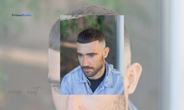 model rambut pria - Crop Cut
