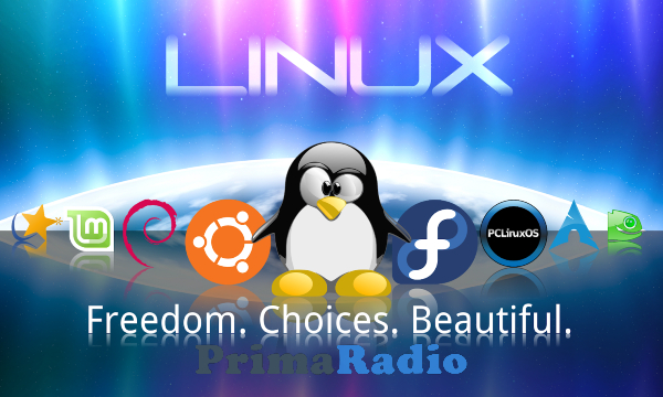 Sistem Operasi Linux Pilihan Terbaik untuk PC dan Laptop