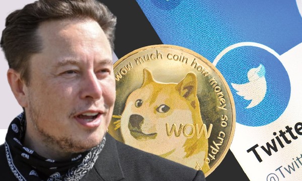 Elon Musk Ganti Logo Twitter Akibatnya dalam Bidang Keuangan