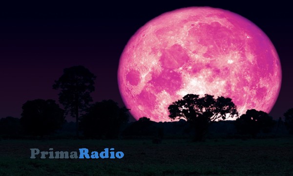 Ketahui Fenomena Pink Moon, Fakta Menarik dan Prosesnya