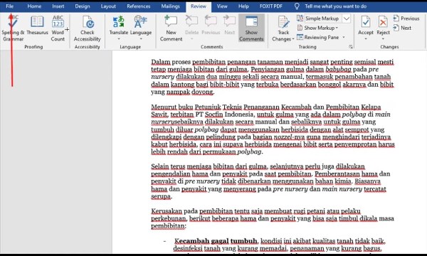 Puede probar cómo deshacerse de las líneas rojas en Microsoft Word