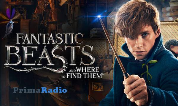 Cara Menonton Film Fantastic Beasts dan Fakta Menariknya