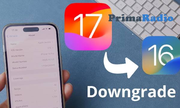 cara downgrade iOS