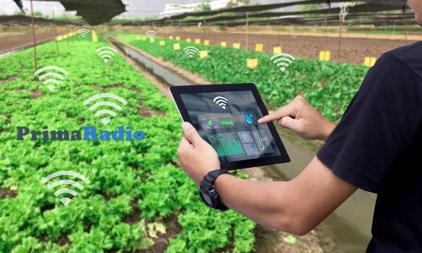Penggunaan Aplikasi Smart Farming untuk Pertanian