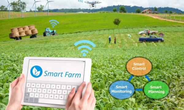 Pentingnya Penggunaan Aplikasi Smart Farming untuk Pertanian