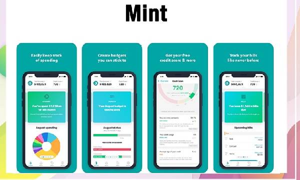 Deskripsi Singkat tentang Aplikasi Mint