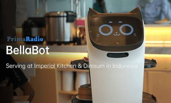 Alasan Harus Punya Robot Kucing Bellabot untuk Restoran
