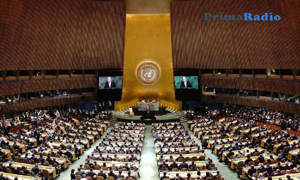 Fungsi dan Peranan PBB yang Perlu Diketahui