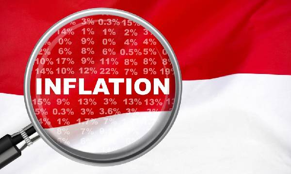 Pahami Penyebab dan Dampak Inflasi