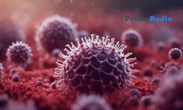 Apa itu Virus Nipah : Pengertian, Penyebab, Gejala dan Cara Penanganan