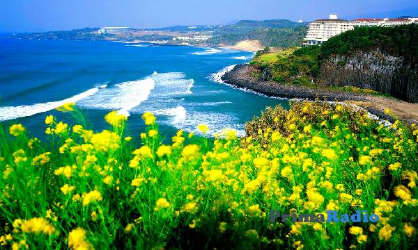 Wisata Pulau Jeju Korea, Berikut Rekomendasi Destinasi yang Wajib Dikunjungi