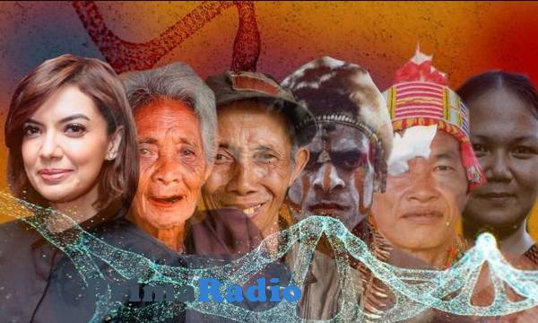 orang asli pribumi Indonesia