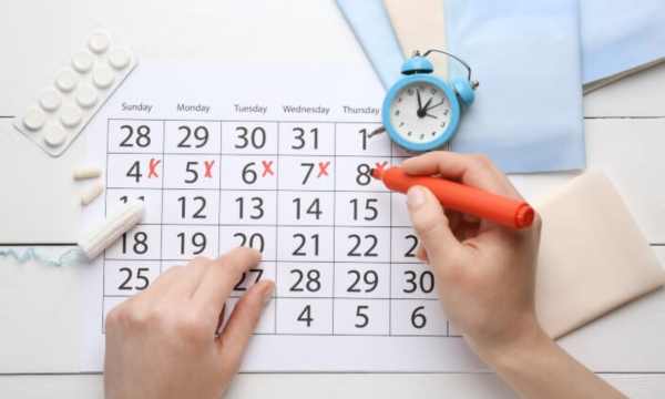 Ovulation Calendar and Fertility