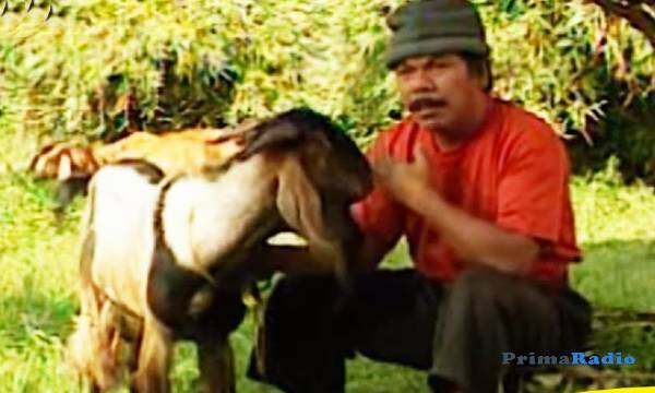 Film Mat Beken (1995) Kocaknya Komedi Klasik Ala Indonesia