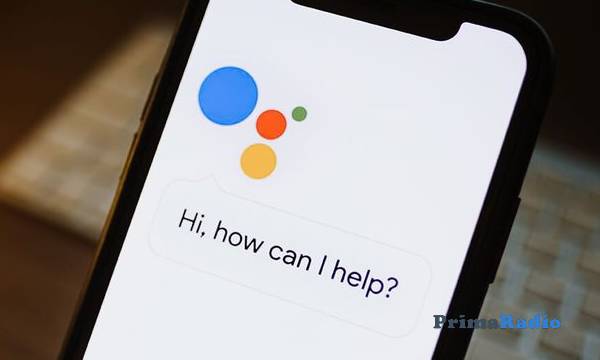 Fitur-fitur yang Ada Pada Aplikasi Google Assistant Versi Go