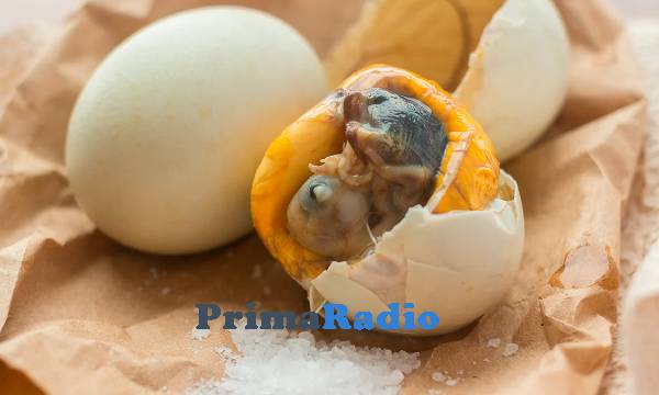 Langkah Mengolah Resep Telur Bebek Pupuk Balut