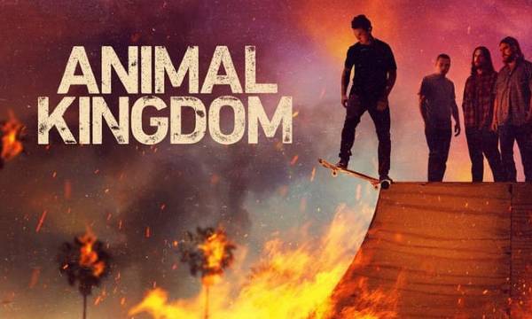 film the Animal Kingdom