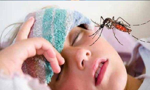 Demam yang disebabkan oleh virus dengue gigitan nyamuk Aedes aegypti