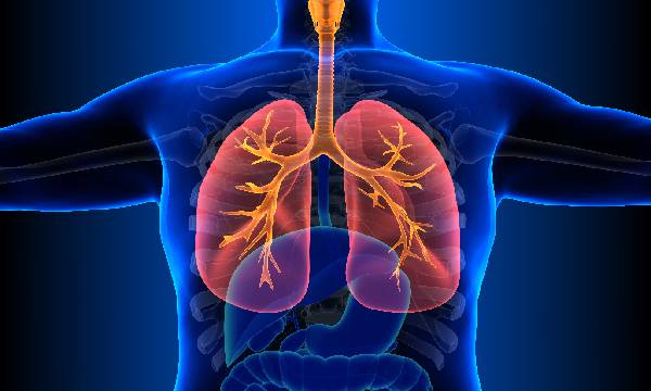 Jenis penyakit menular Tuberkulosis menyerang berbagai organ tubuh