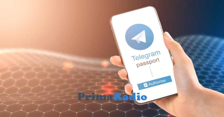 7 Fitur Aplikasi Telegram X yang Berbeda